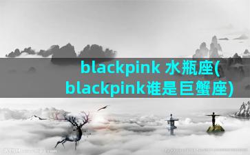 blackpink 水瓶座(blackpink谁是巨蟹座)